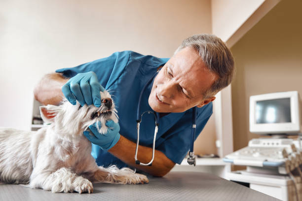 Best Emergency Dentist for Special Needs Patients in Rockvale, TN
